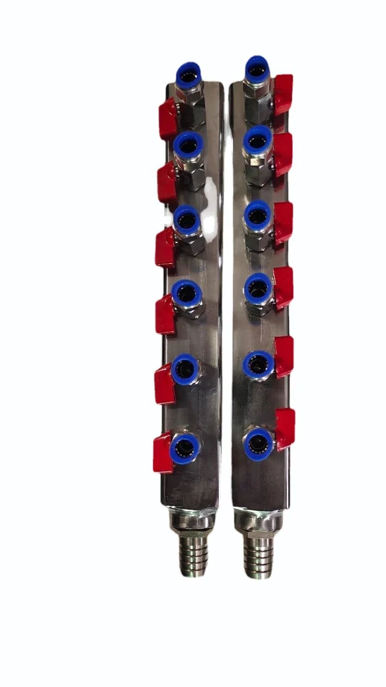Fabricated Manifold - 6 Port