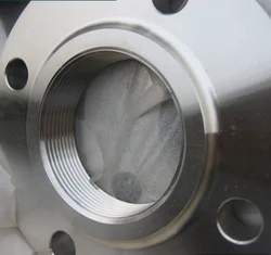 SS316L Threaded Flange