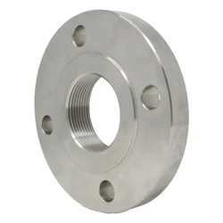SS316L Threaded Flange