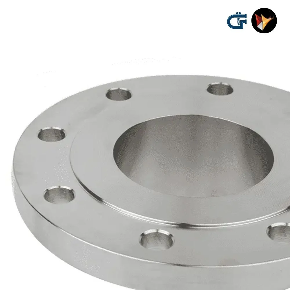 SS316 Raised Face Flange