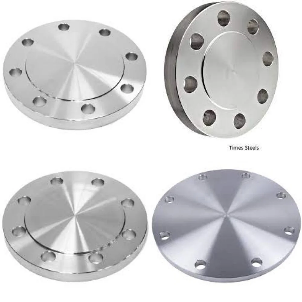SS Flange Blind