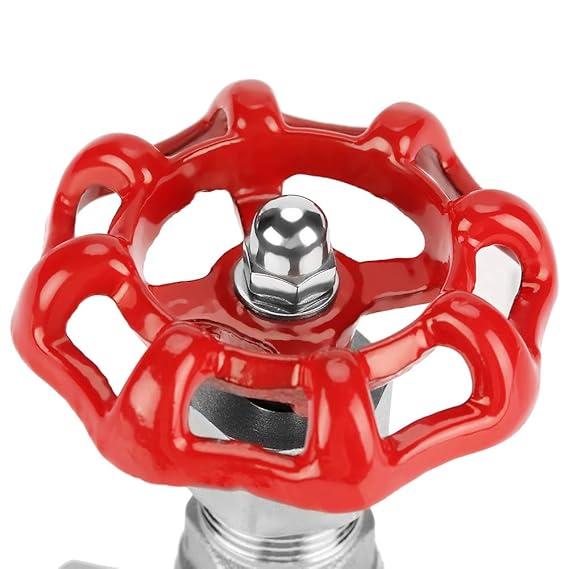 SS Gate Valve 2"